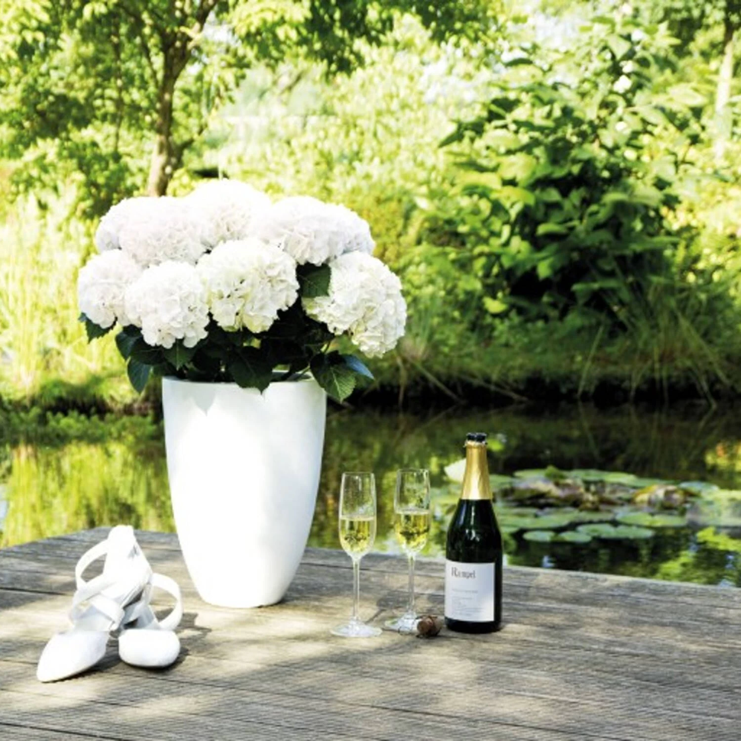 Hydrangea Macrophylla 'Hochzeits-Hortensie'® – Bild 5