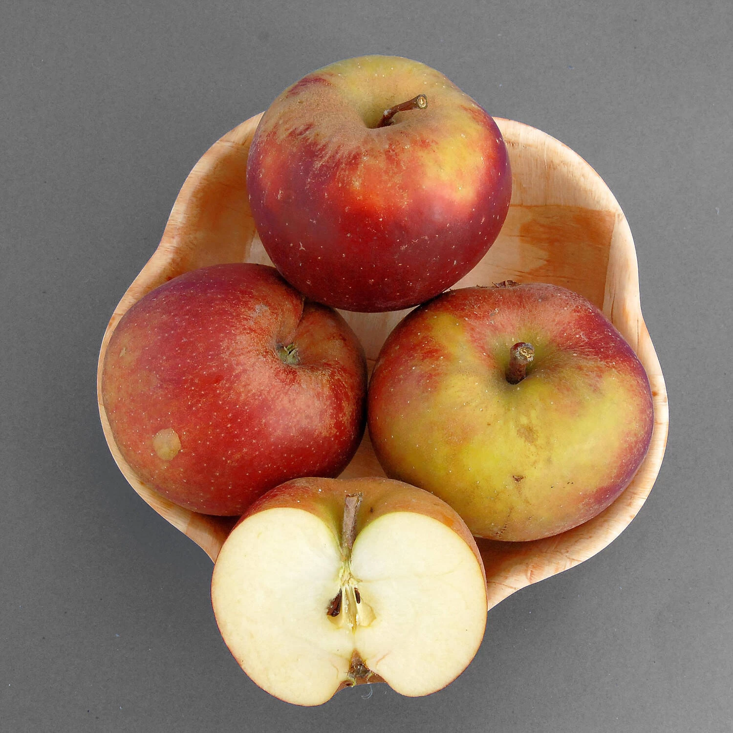 Malus Domestica 'Roter Boskoop'