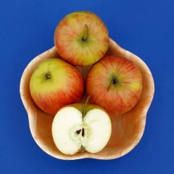 Malus Domestica 'Roter James Grieve' / 'Rubin'