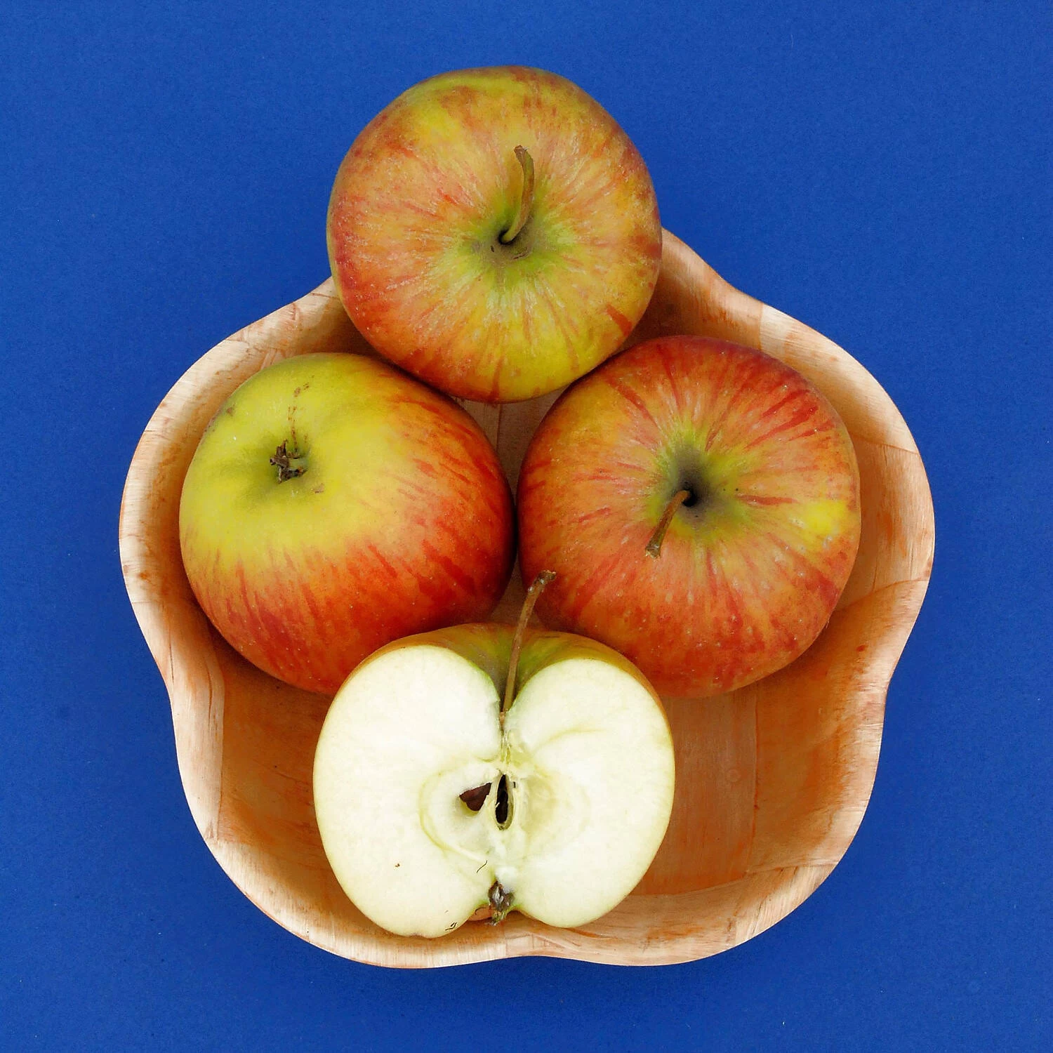 Malus Domestica 'Roter James Grieve' / 'Rubin'